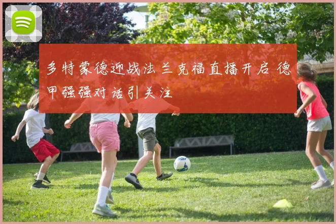 多特蒙德迎战法兰克福直播开启 德甲强强对话引关注