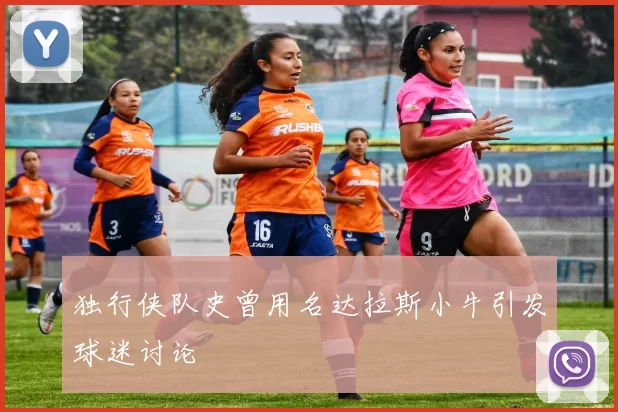 独行侠队史曾用名达拉斯小牛引发球迷讨论