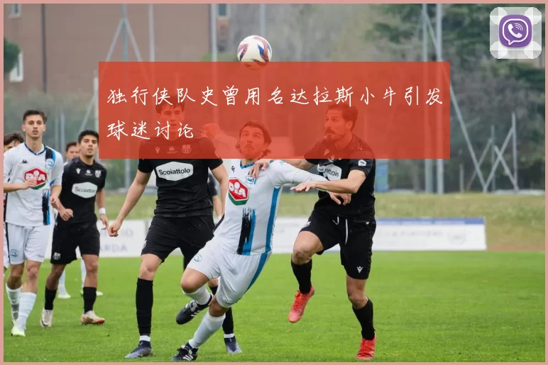 独行侠队史曾用名达拉斯小牛引发球迷讨论