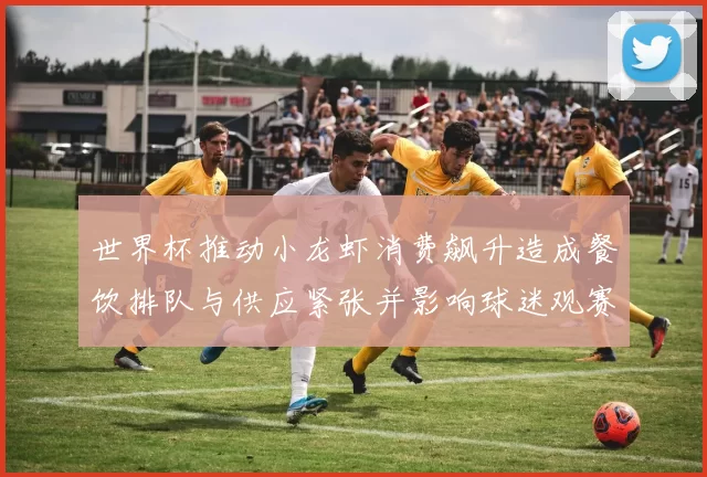 世界杯推动小龙虾消费飙升造成餐饮排队与供应紧张并影响球迷观赛选择