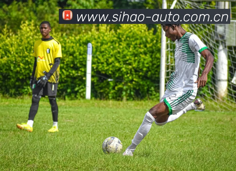 华体育会登录网官网平台生态图